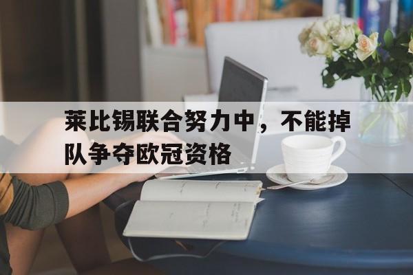 莱比锡联合努力中，不能掉队争夺欧冠资格